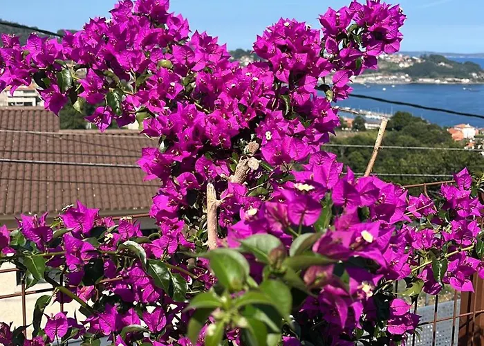 Hébergement de vacances Vou Nun Bou *